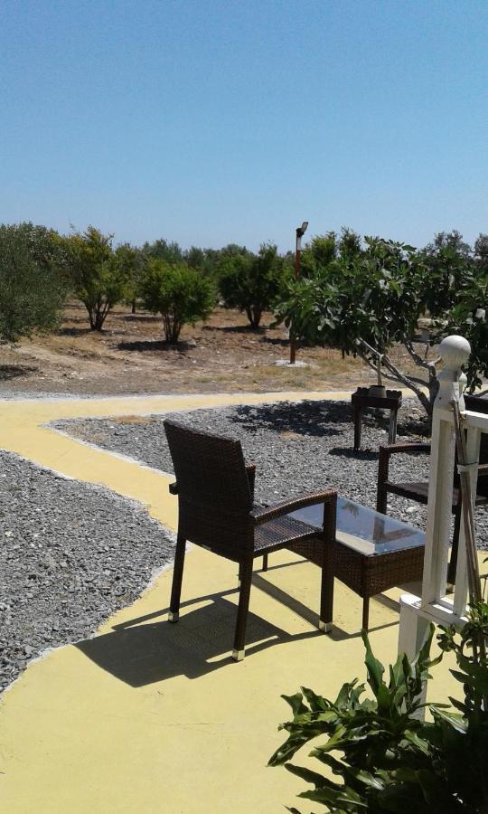 Mersinera Paradise Garden Stars House * Lárnaka